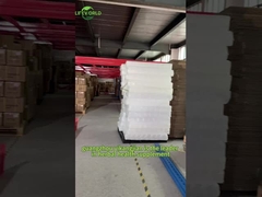 تخصیص زئاکسانتین ویتامین های چشم مکمل محافظت از چشم محافظت از شبکیه